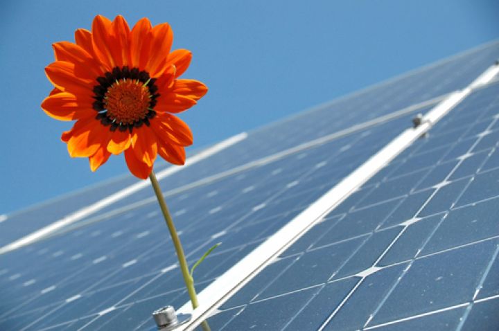 Bl&uuml;tezeit f&uuml;r Photovoltaik: Das Gesch&auml;ftsklima ist &auml;usserst positiv (Bild: pixabay)
